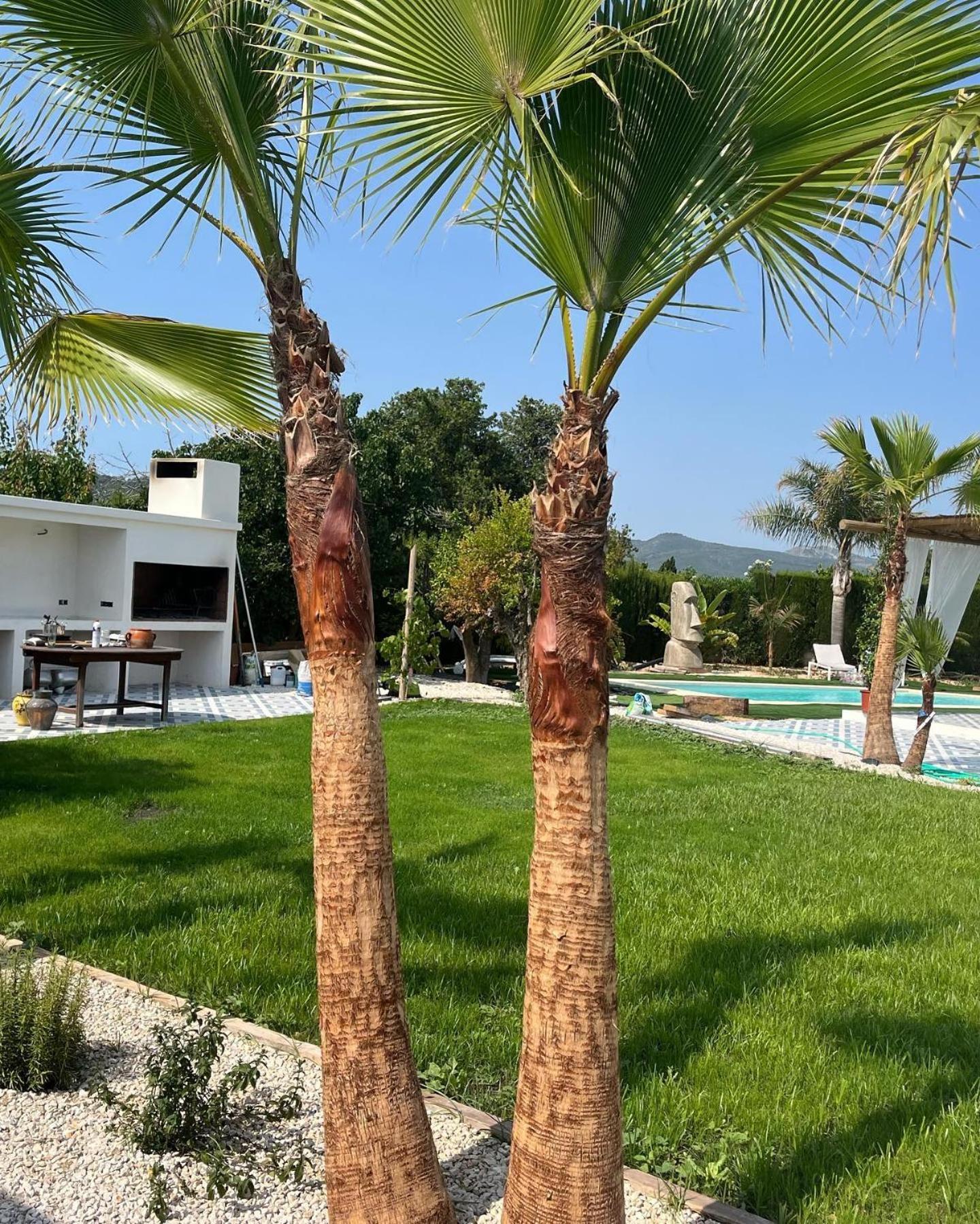 Casanoa Luxury Villa Bed And Breakfast Javea Dış mekan fotoğraf